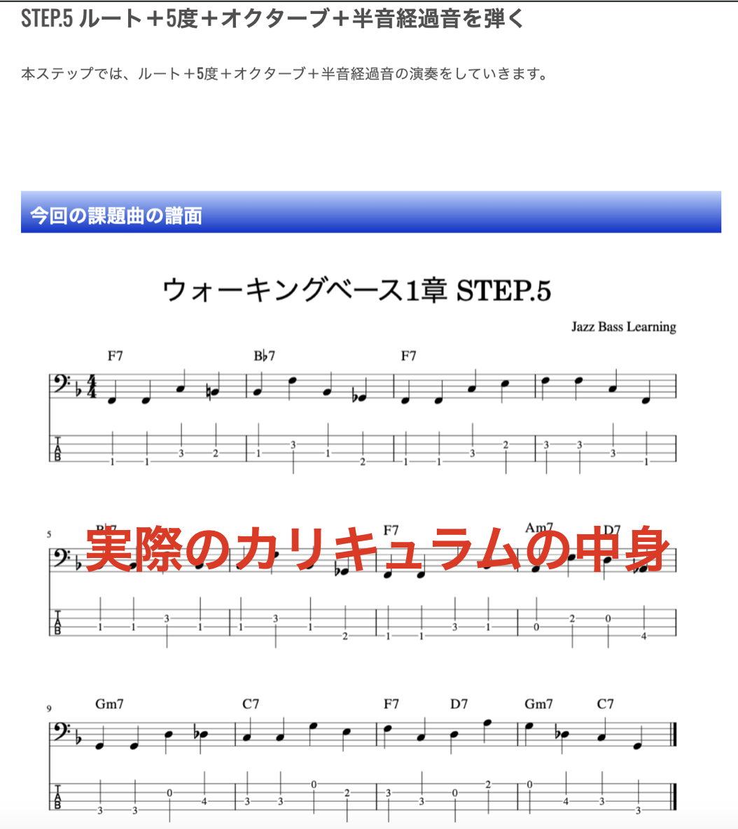 カリキュラム③