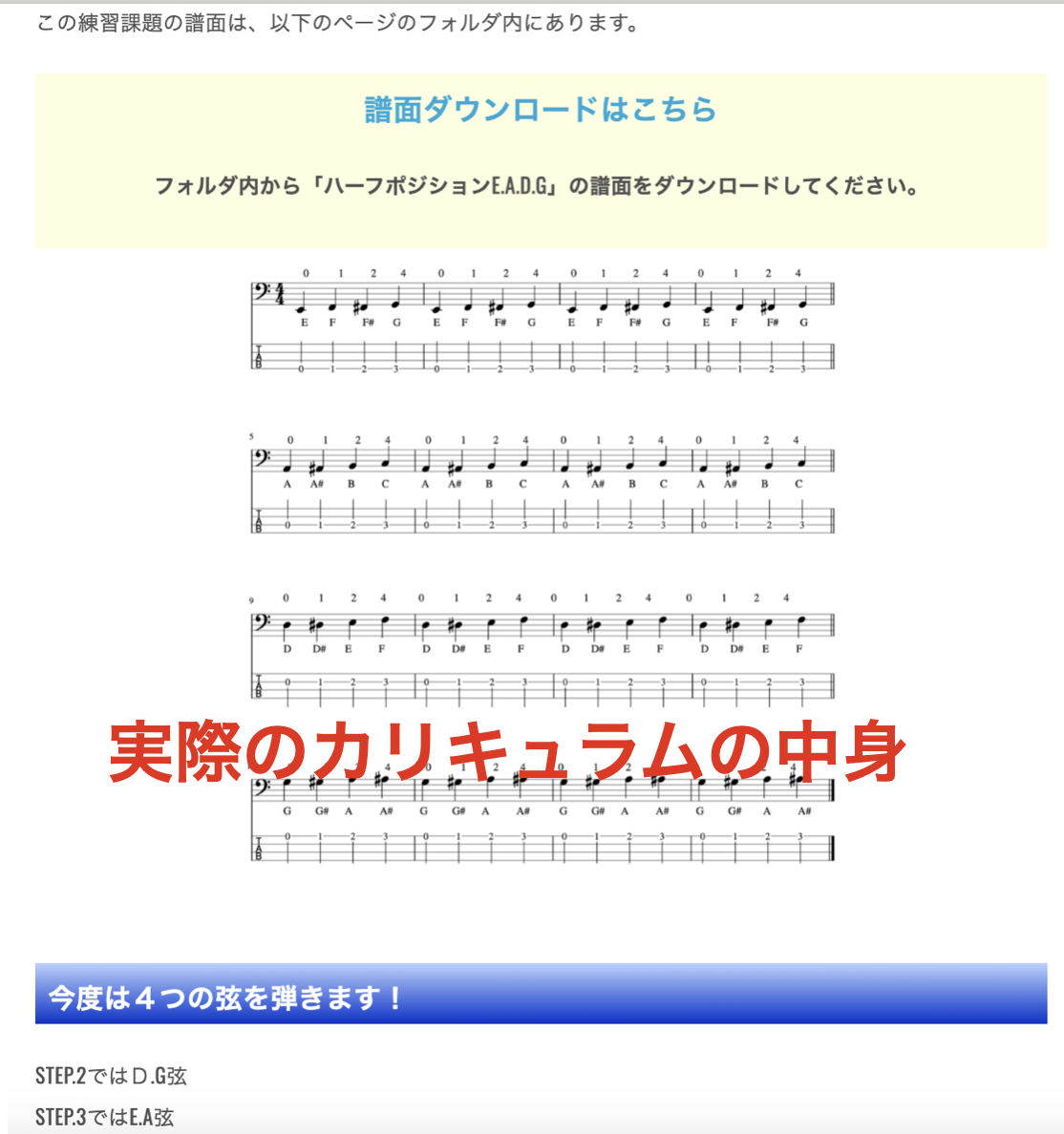 カリキュラム③